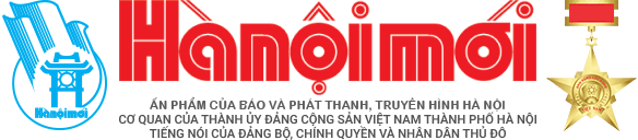 Đối tác 19