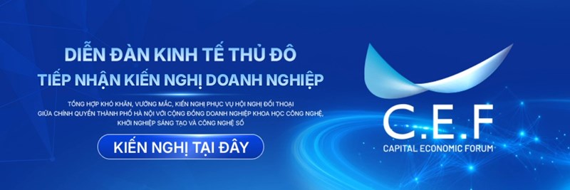 Banner CEF lần 3